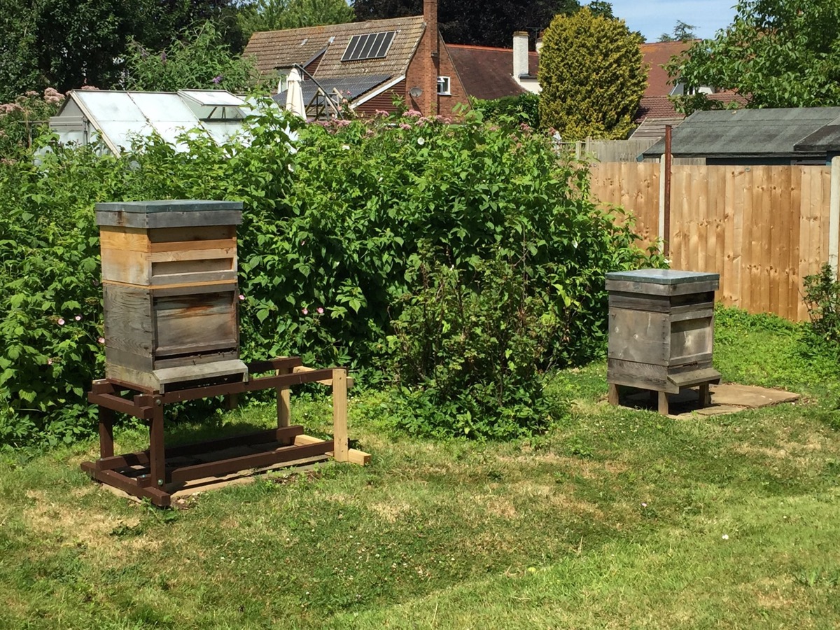 Our first two hives in the garden, July 2017